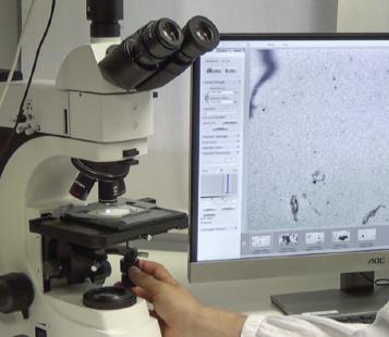 analisi conta-particellare_ottica1