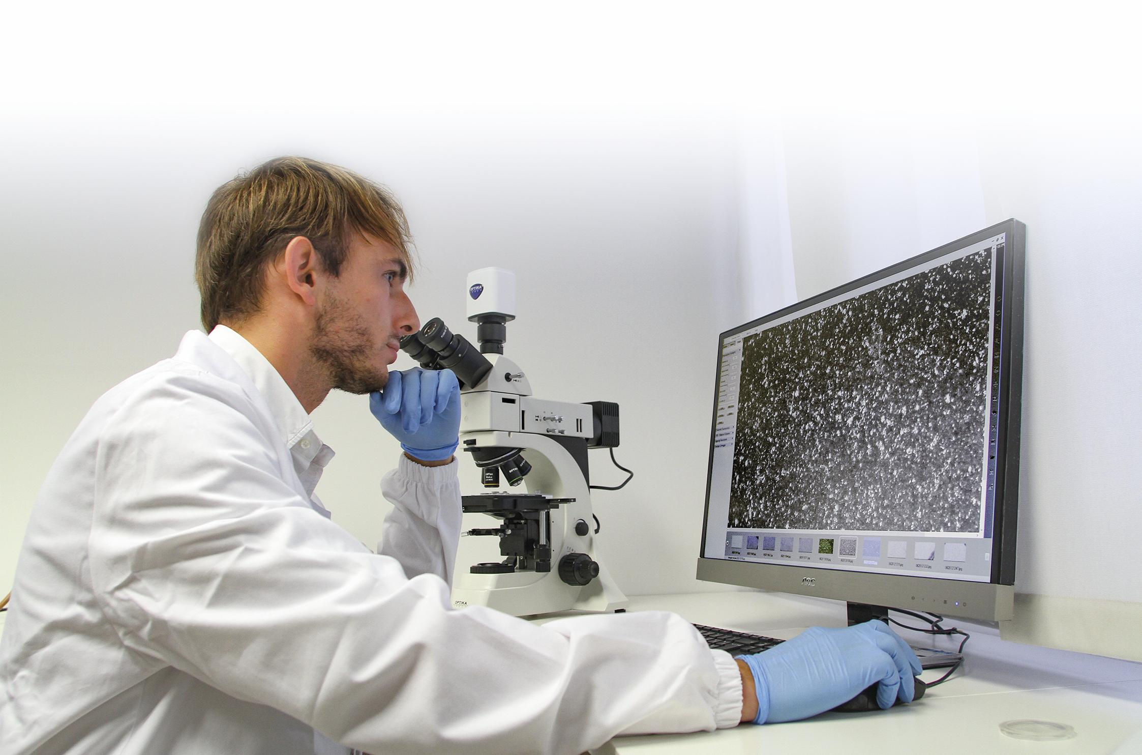 analisi microscopio%202-grande